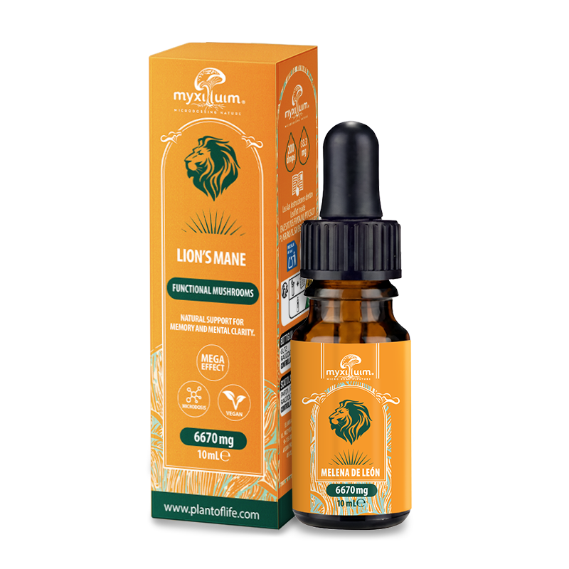 Lion's Mane Mushroom Extract 10ml
